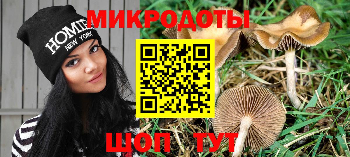 Псилоцибиновые грибы Magic Shrooms  Галлюциногенные грибы MAGIC MUSHROOMS  Камень-на-Оби  Вход с VPN 