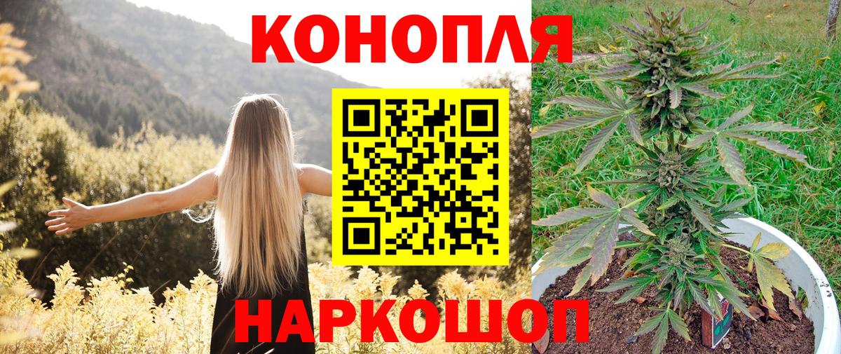 Камень-на-Оби  Бошки марихуана White Widow  Марихуана тримм  Вход с VPN  Канабис индика 